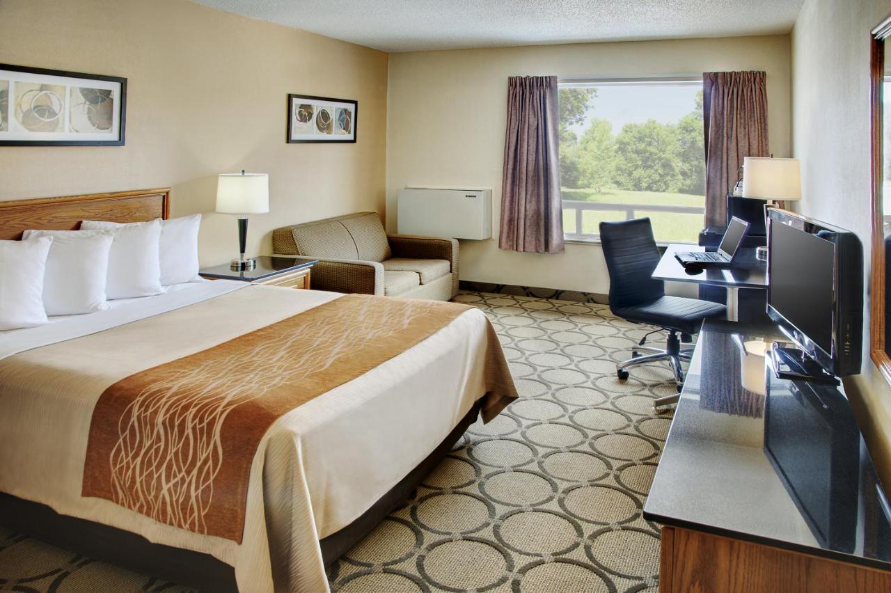 Comfort Mini-hôtel 3*